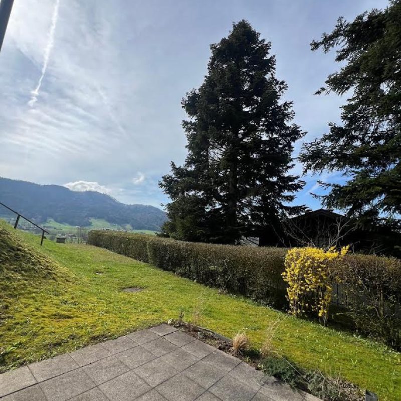 Ausblick