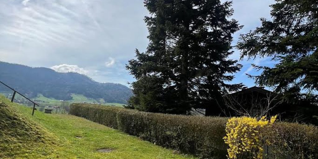Ausblick